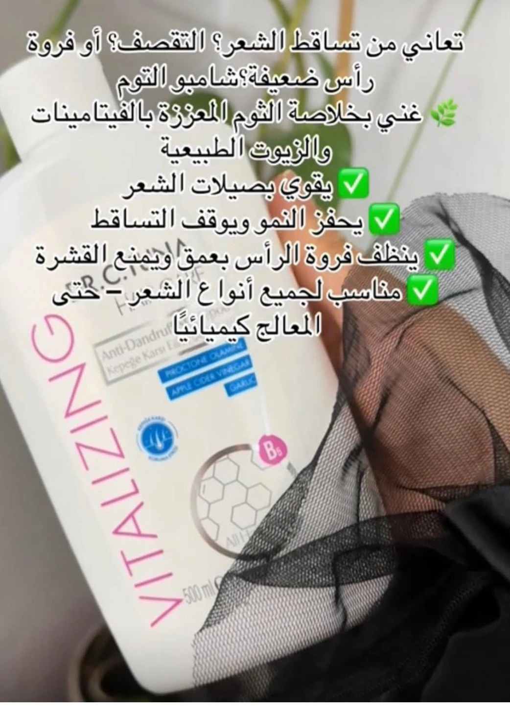 شامبو التوم والخل